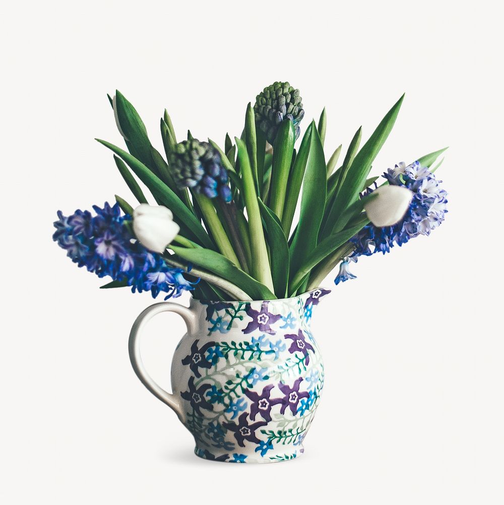 Blue hyacinths vase, isolated botanical image