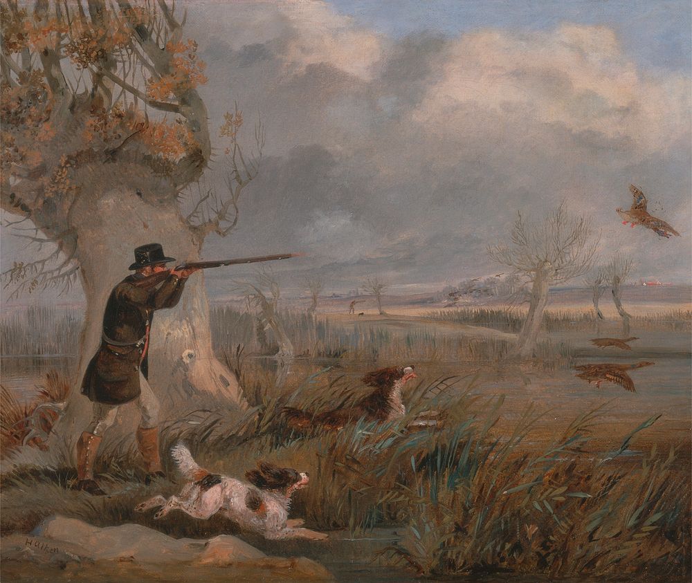 Duck Shooting