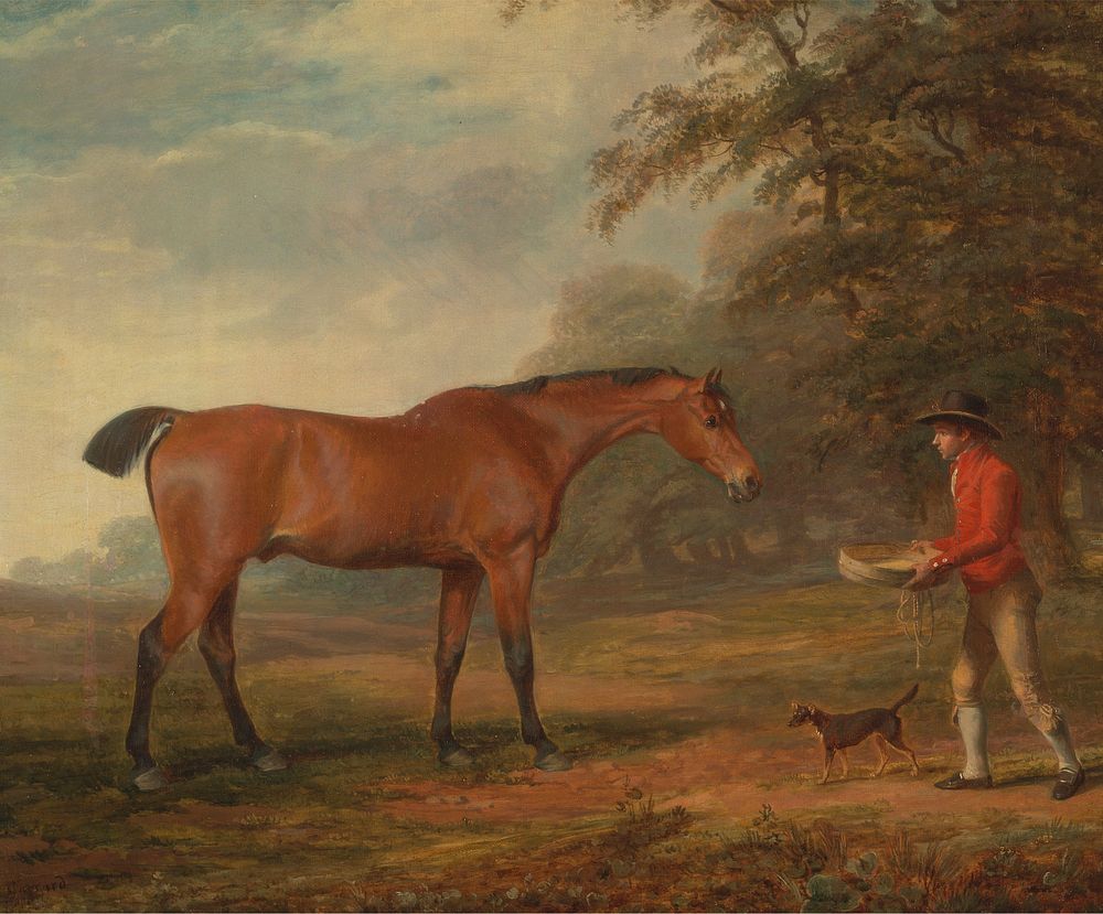 A Bay Horse Approached by a Stable-Lad with Food and a Halter