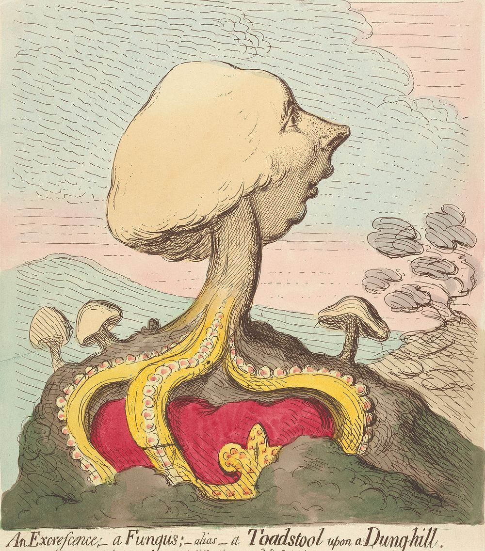 An Excrescence; - Afungus; - Alias - A Toadstool Upon a Dung-Hill