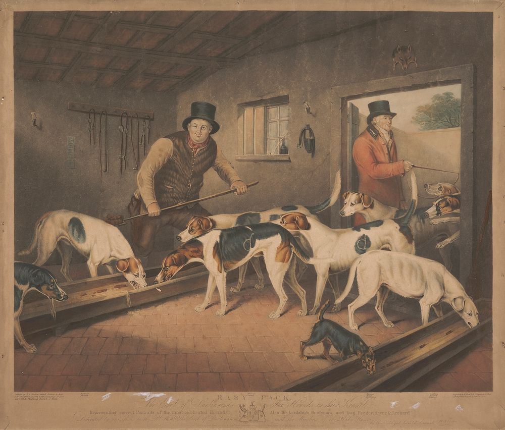 Fox Hunting:  Raby Pack / The Earl of Darlington's Fox Hounds in Their Kennel
