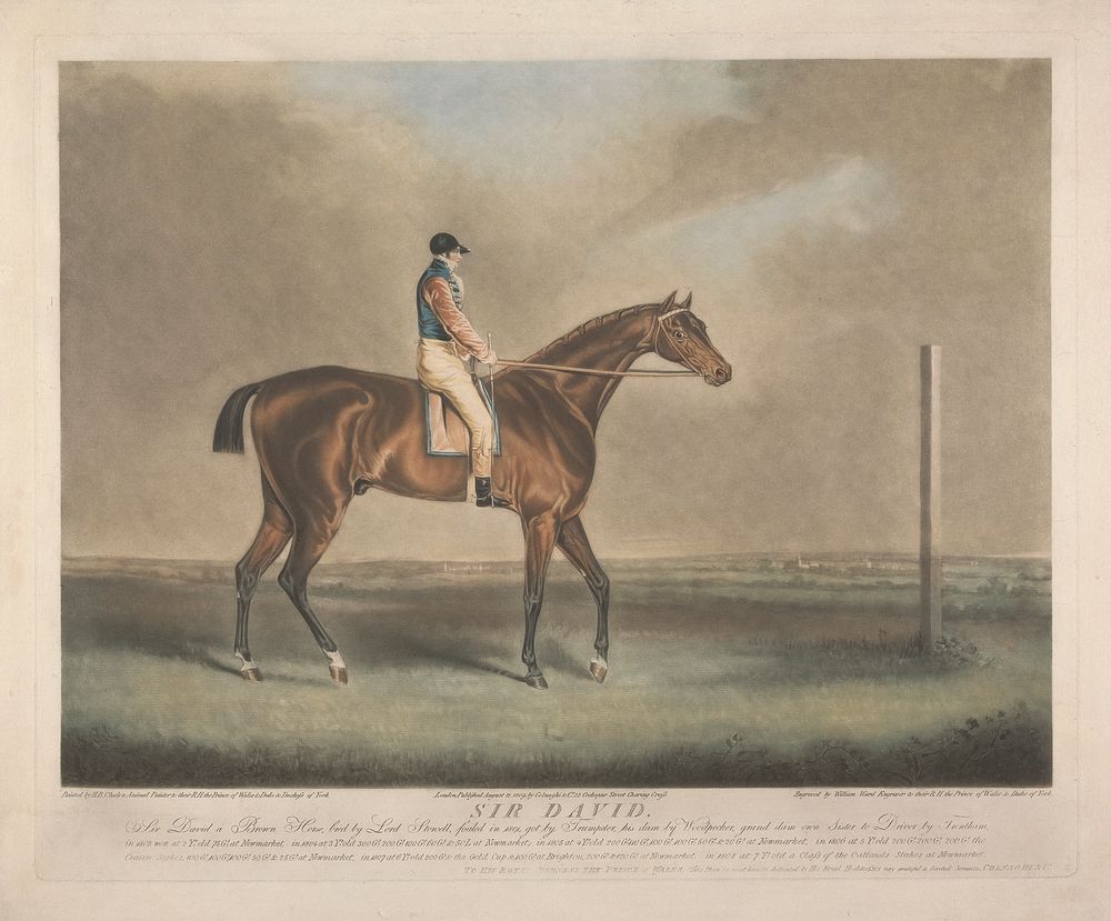 Sir David. Sir David a Brown Horse, bred by Lord Stowell, foaled in 1801 got by Trumpeter, his dam by Woodpecker, grand dam…