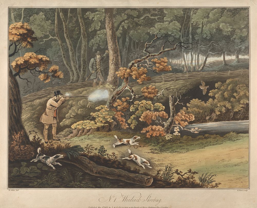 Plate 1. Woodcock Shooting