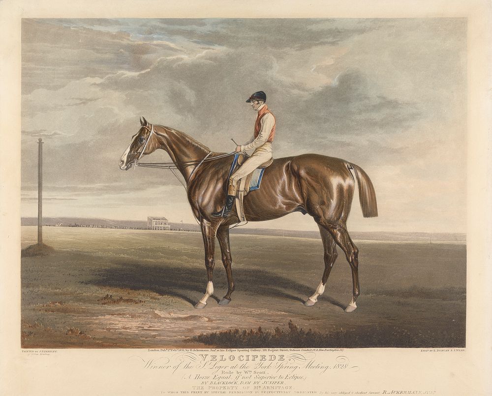 Velocipede. Winner of the St. Leger at the York Spring Meeting. 1828