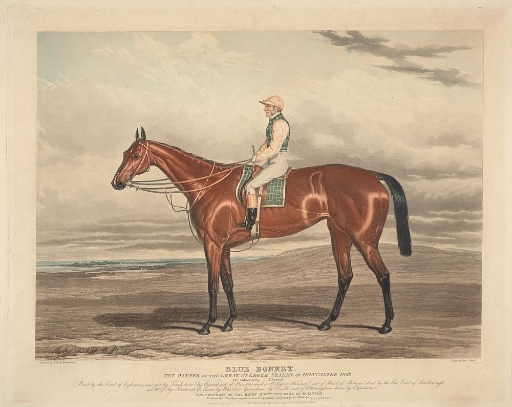 Racing: Blue Bonnet. The Winner of the great St. Leger Stakes at Doncaster 1842