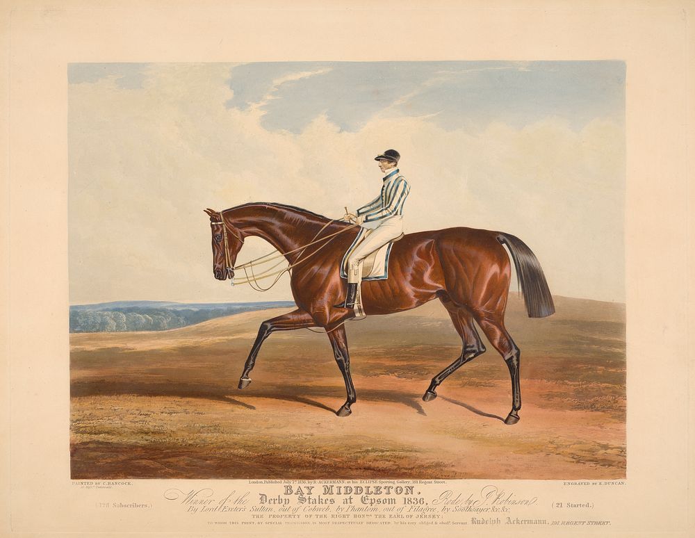Bay Middleton. Winner of the Derby Stakes at Epsom 1836