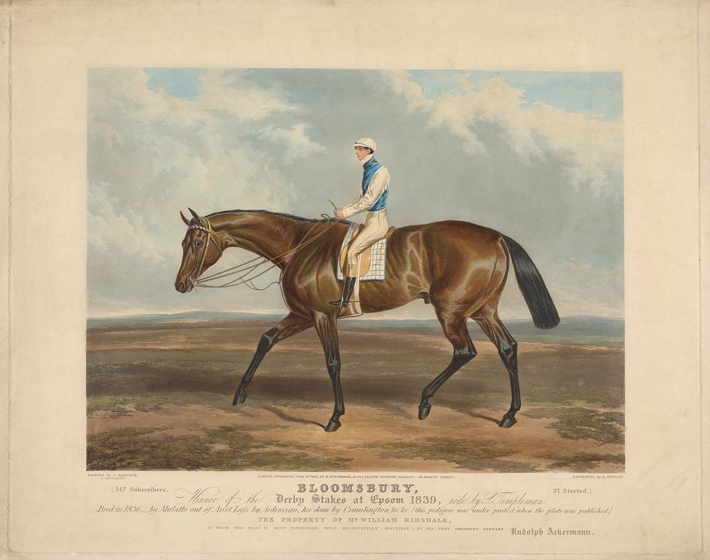 Racing:  Bloomsbury, Winner of the Derby Stakes at Epsom 1839