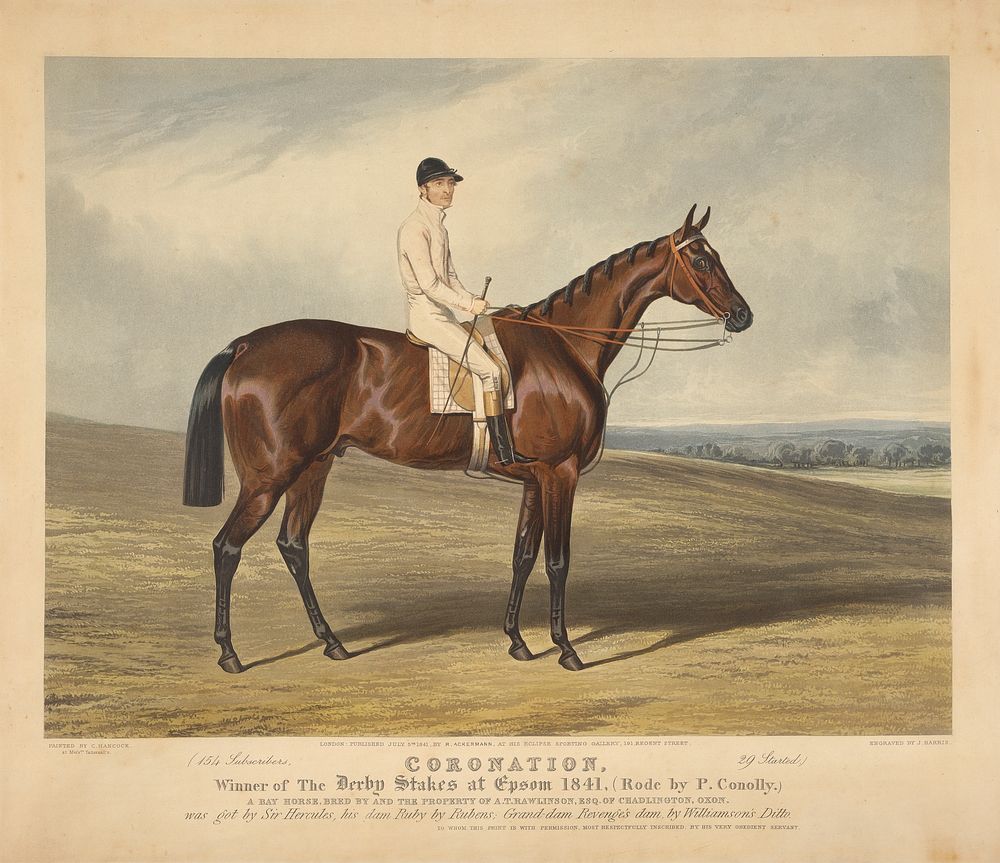 ..."Coronation", Winner of the Derby Stakes at Epsom 1841, (rode by P. Conolly) ...