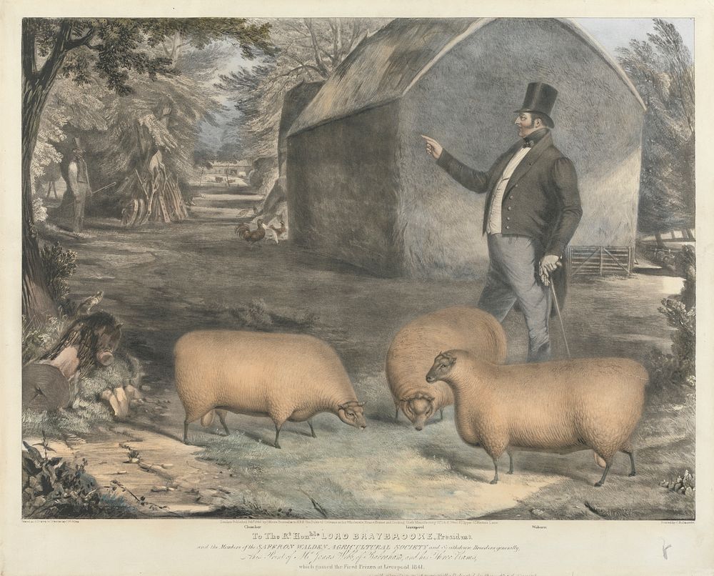 Mr. Jonas Webb, of Babraham, and his Three Rams