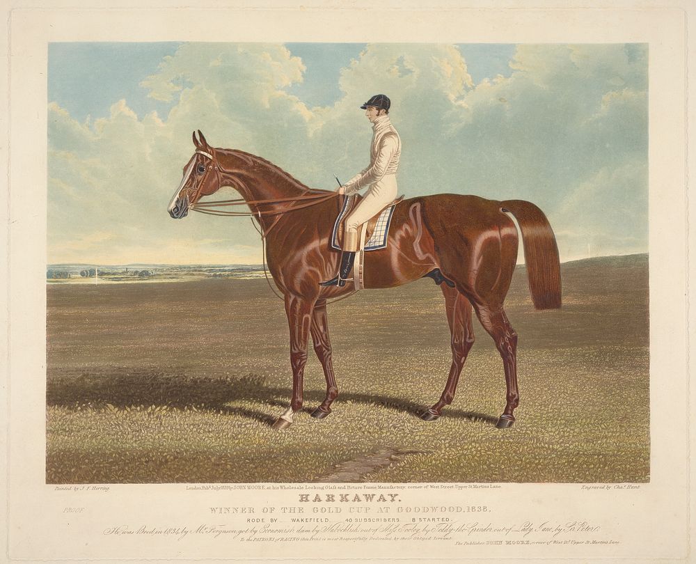 Racing: "Harkaway", Winner of the Gold Cup at Goodwood, 1838