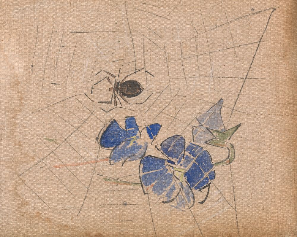 A Spider and Web with Blue Flowers