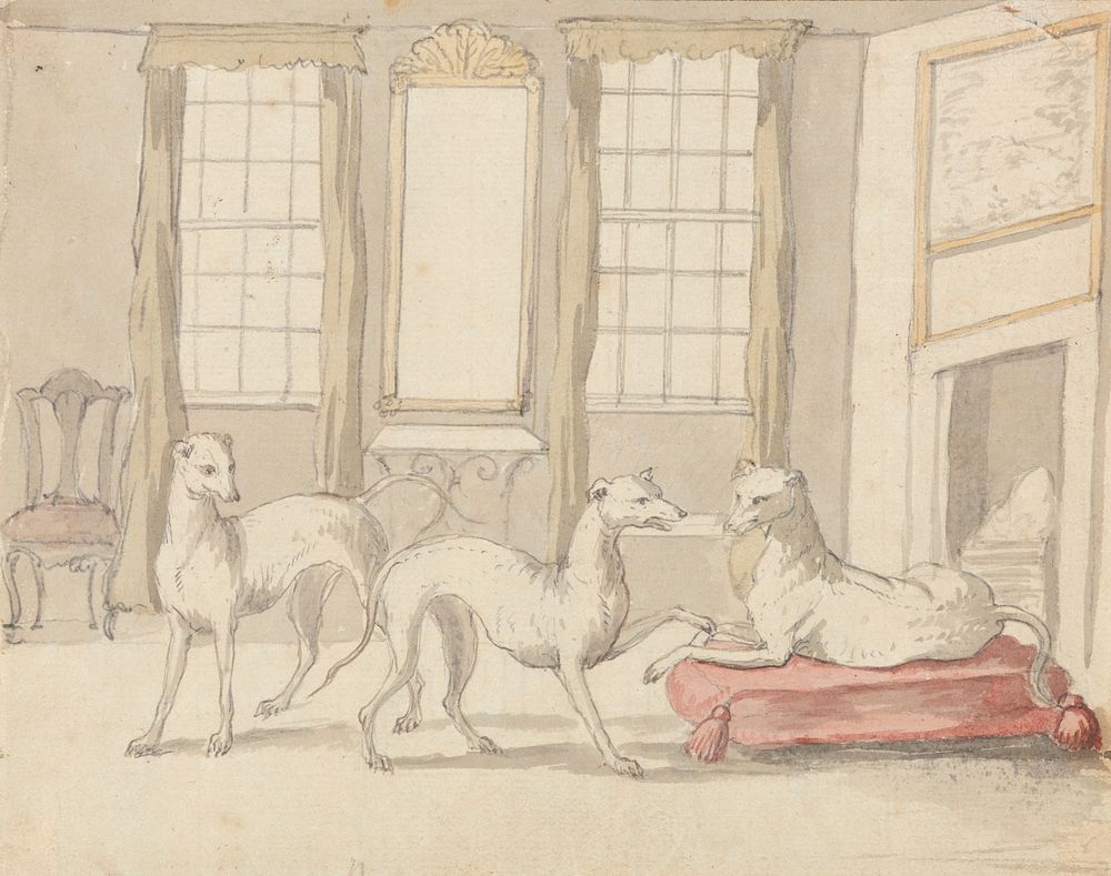 Three Greyhounds in a Room