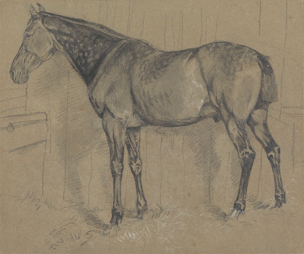 A Dappled Horse in a Stable