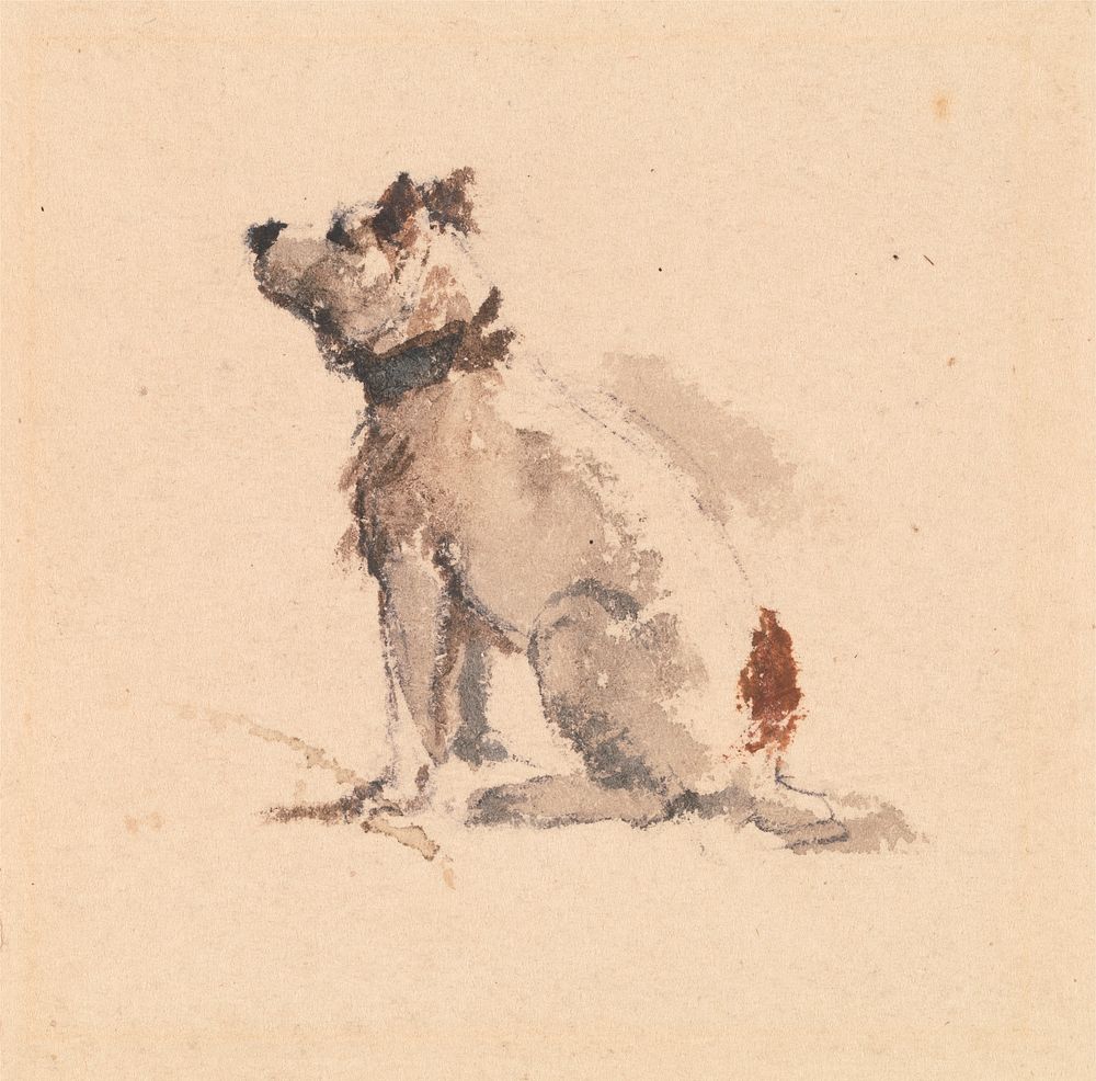 A Terrier, Sitting, Facing Left