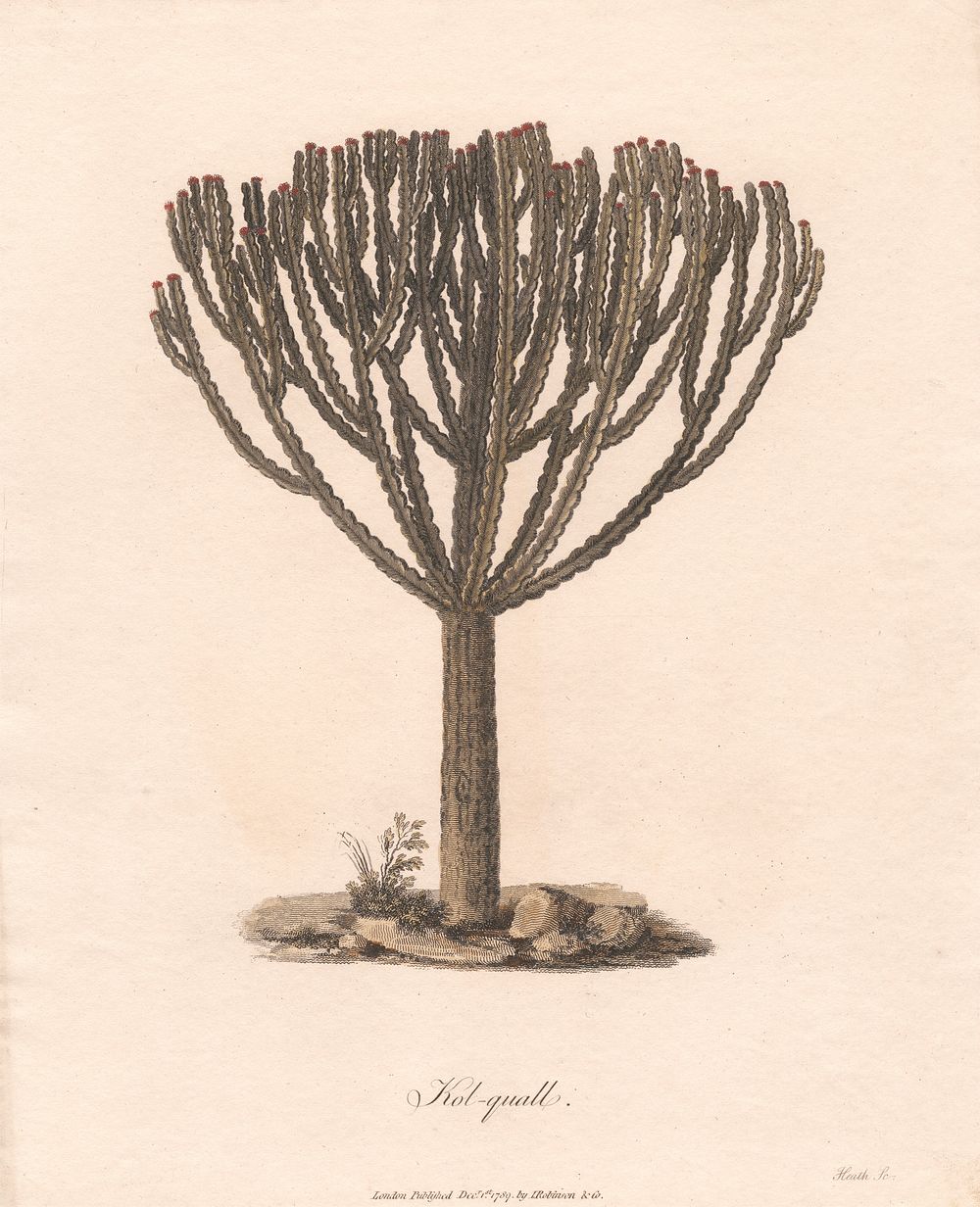 Kolquall 1789 by James Heath
