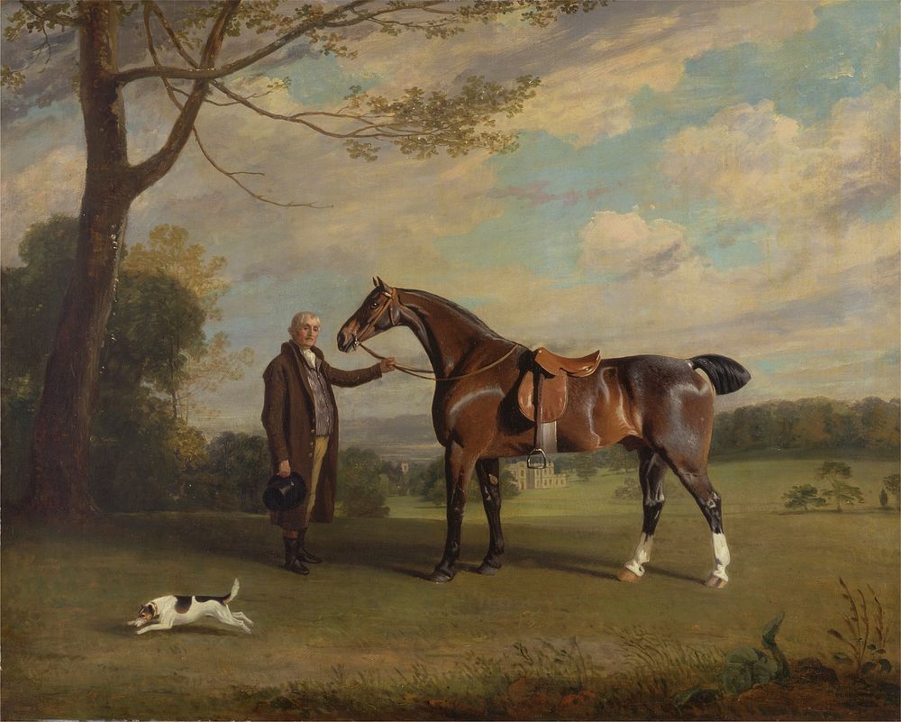 The Earl of Shrewsbury's Groom Holding a Hunter