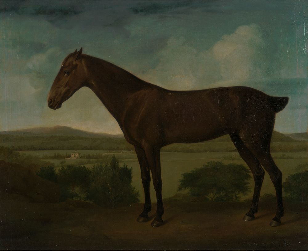 Brown Horse in a Hilly Landscape