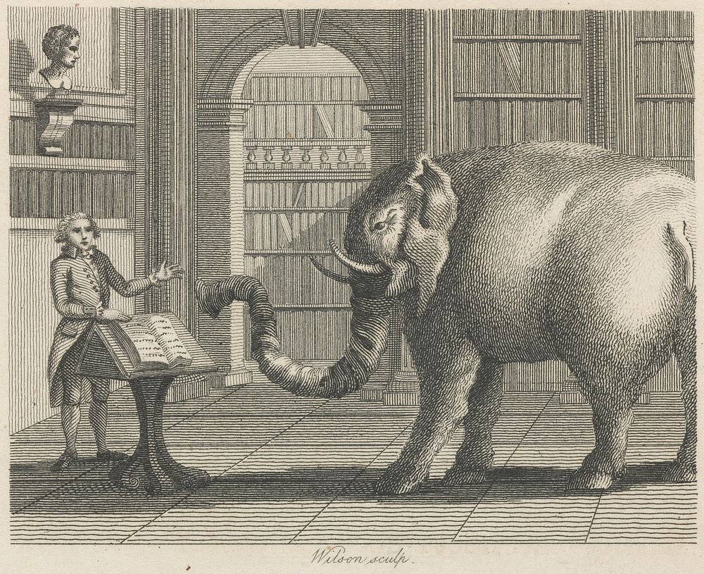 The Elephant and the Bookseller