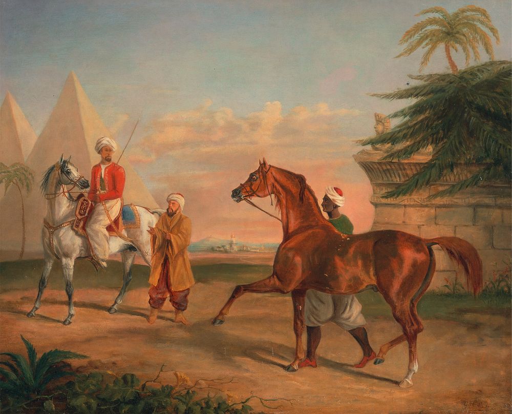 Mameluke purchasing an Arabian stallion