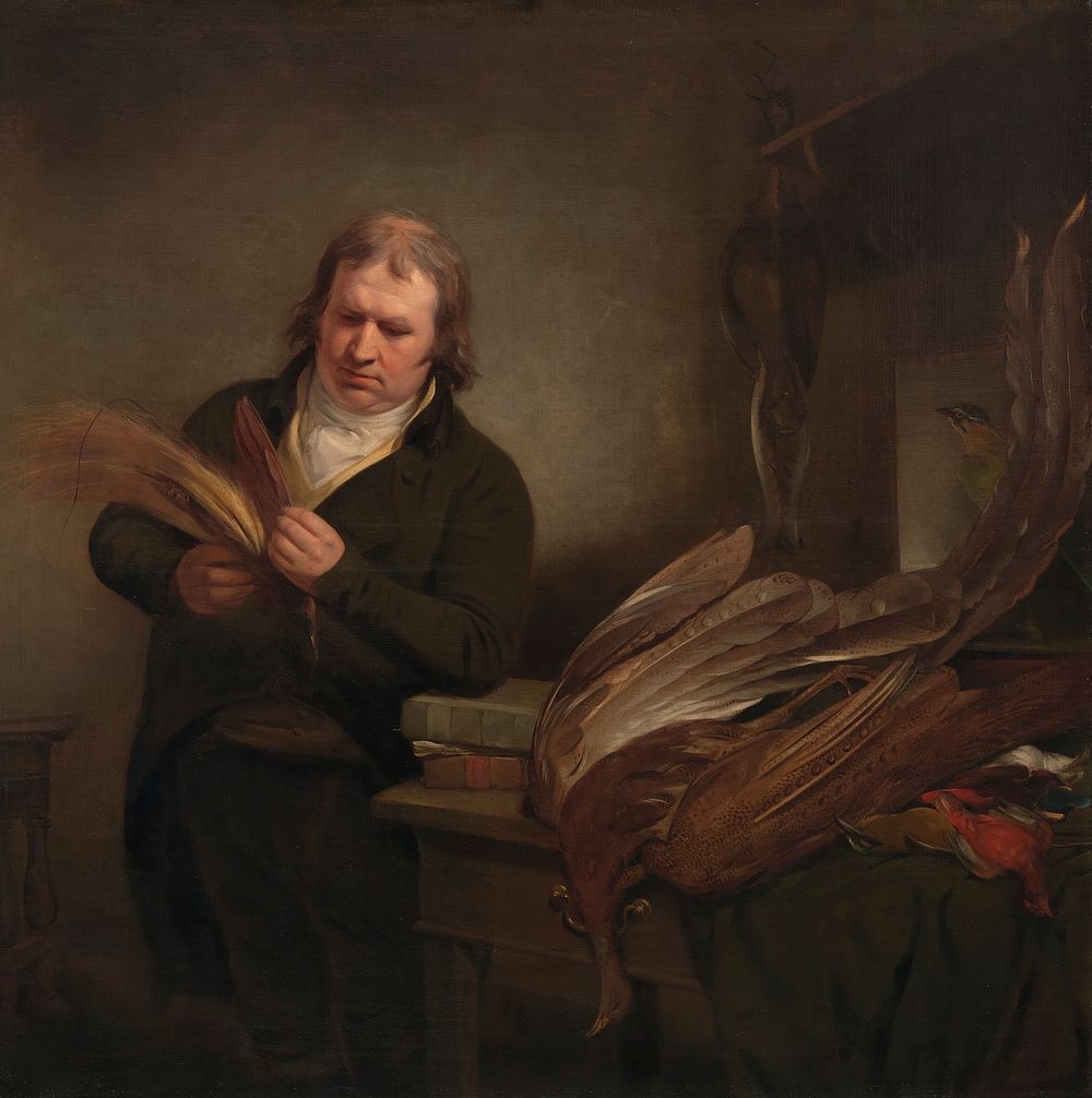 An Ornithologist, Possibly John Latham by Ramsay Richard Reinagle