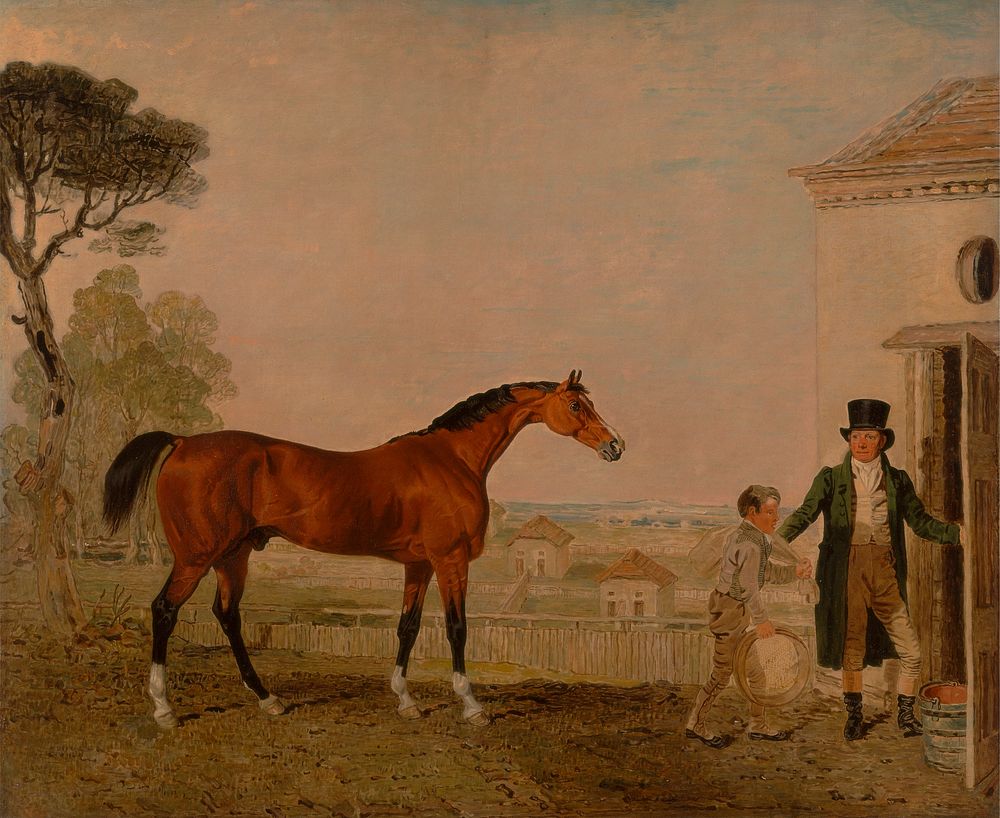 'Sultan' at the Marquess of Exeter's Stud, Burghley House by Lambert Marshall