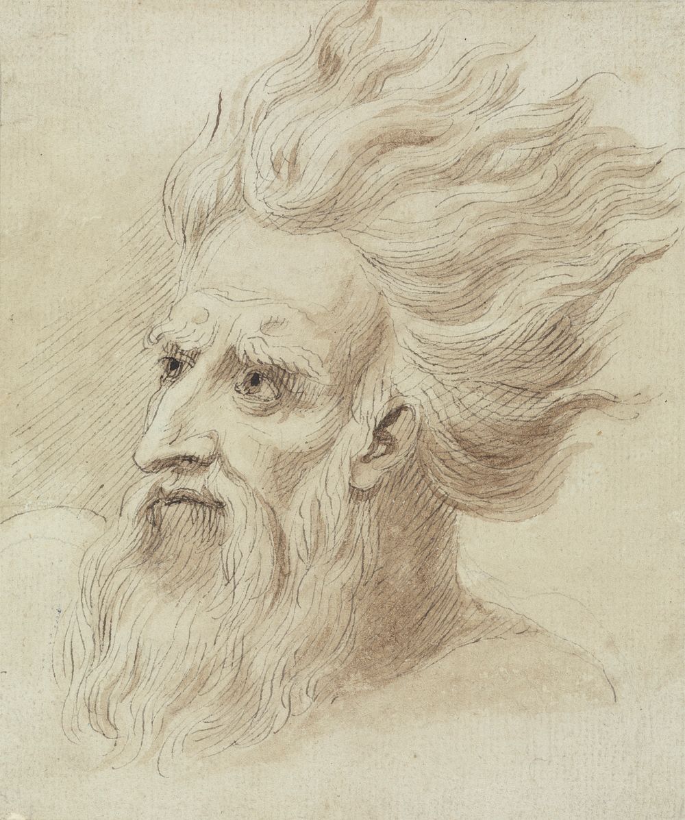 Head of a Man with a Beard and Long Hair in the Wind