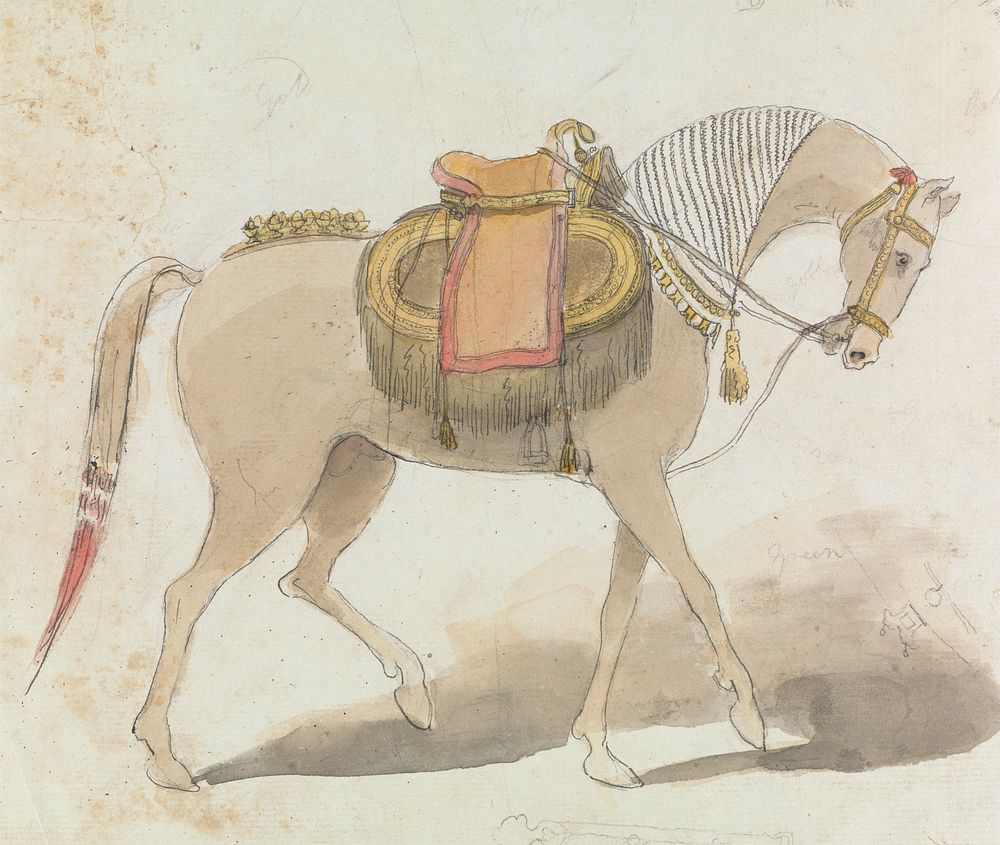 Elaborately Saddled Horse