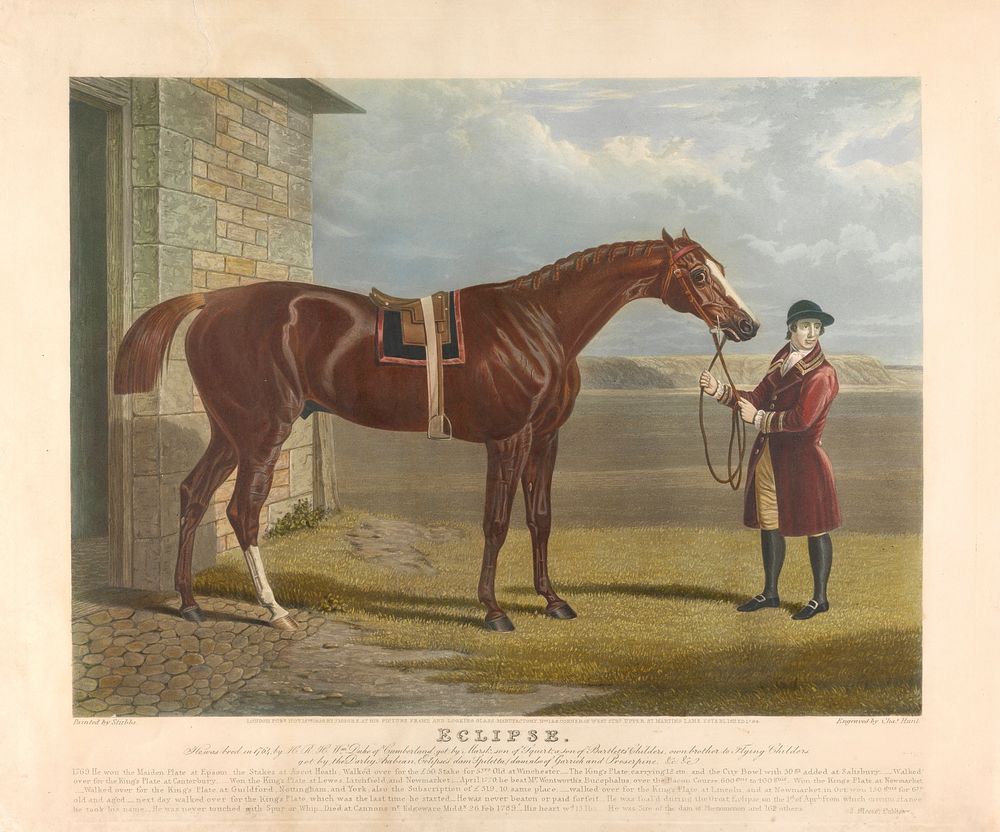 'Eclipse' / 'He was bred in 1764, by H.R.H. Wm. Cuke of Cumberland, got by Marsk, son of squirt, a son of Gartletts…