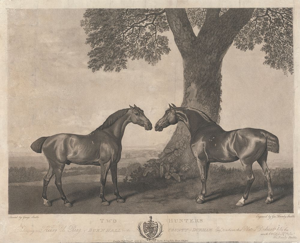 Fox-hunting Two Hunters / Belonging to Henry U. Reay of Burn Hall in the County of Durham ....