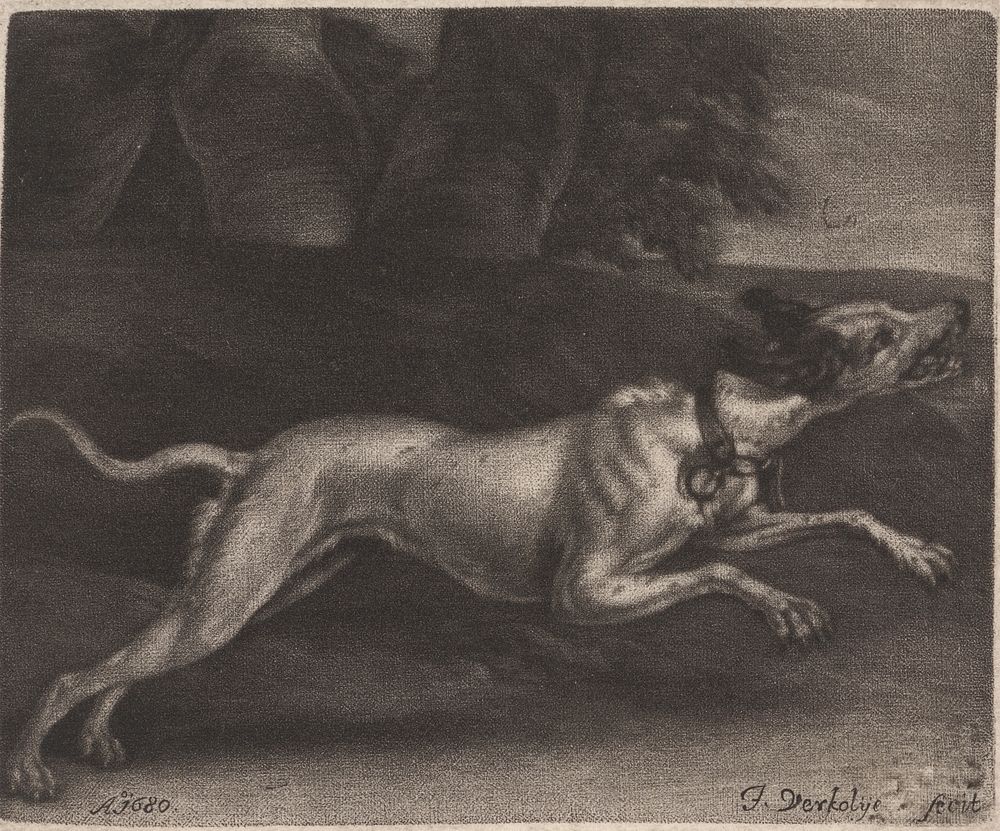 A Running Dog