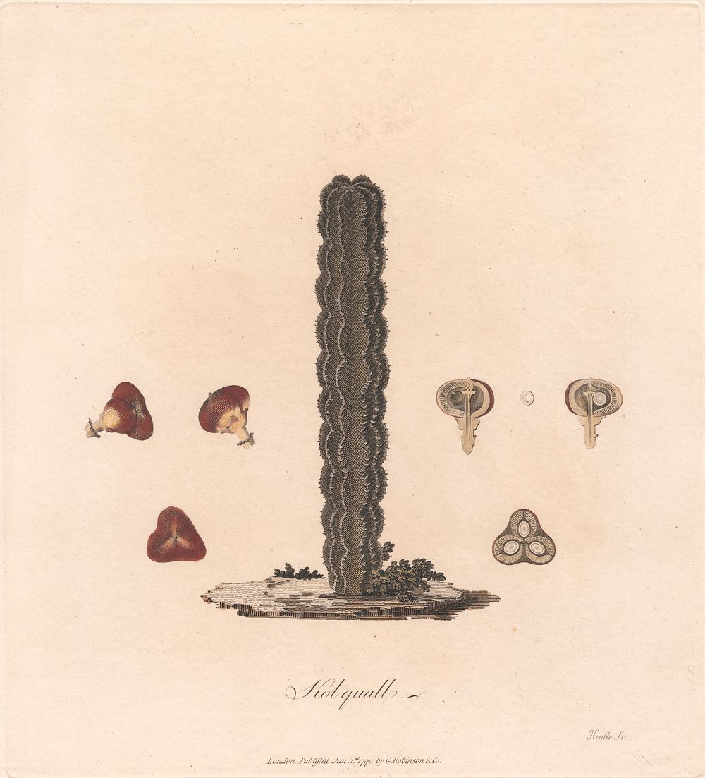 Kolquall 1790 by James Heath