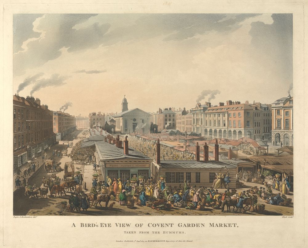 A Bird's Eye View of Covent Garden Market