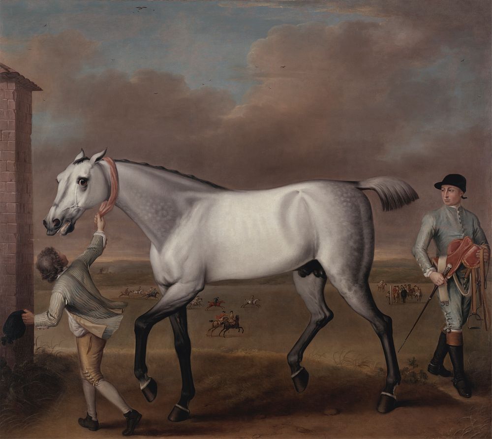 The Duke of Hamilton's Grey Racehorse 'Victorious' at Newmarket