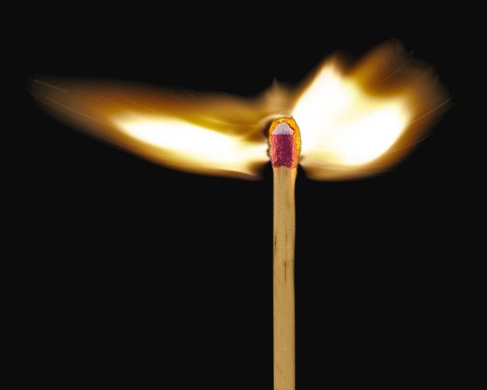 Lit matchstick isolated image