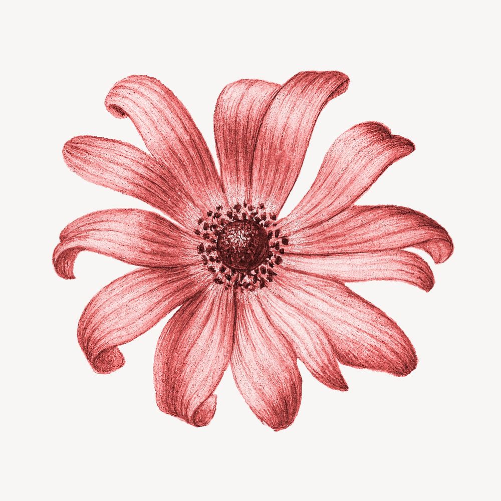 Pink flower collage element psd