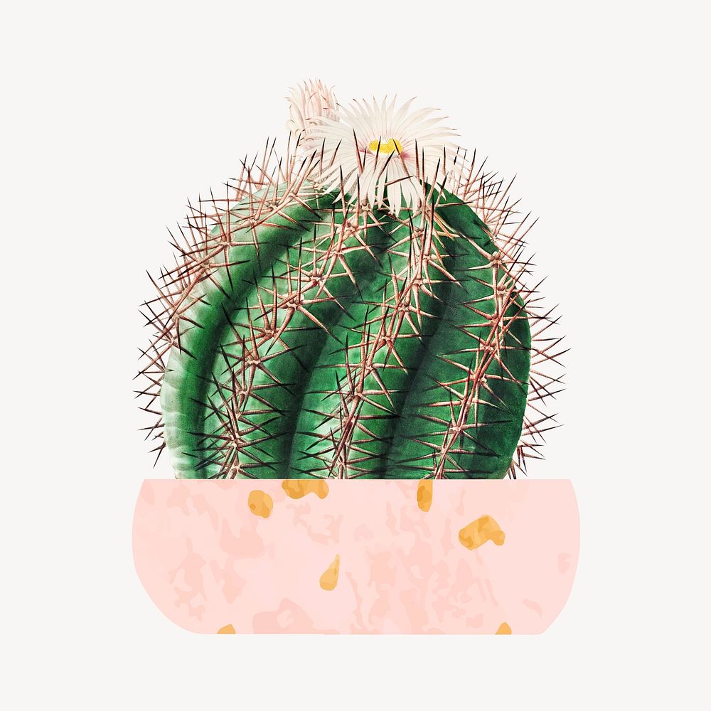 Cute potted watercolor cactus illustration, collage element psd