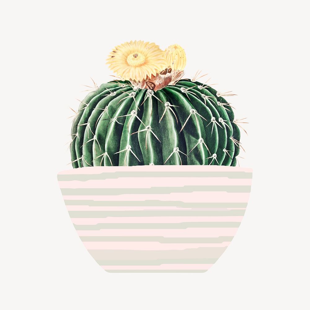 Cute potted watercolor cactus illustration, collage element psd