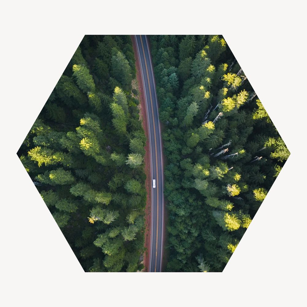 Road through the woods hexagonal shaped badge