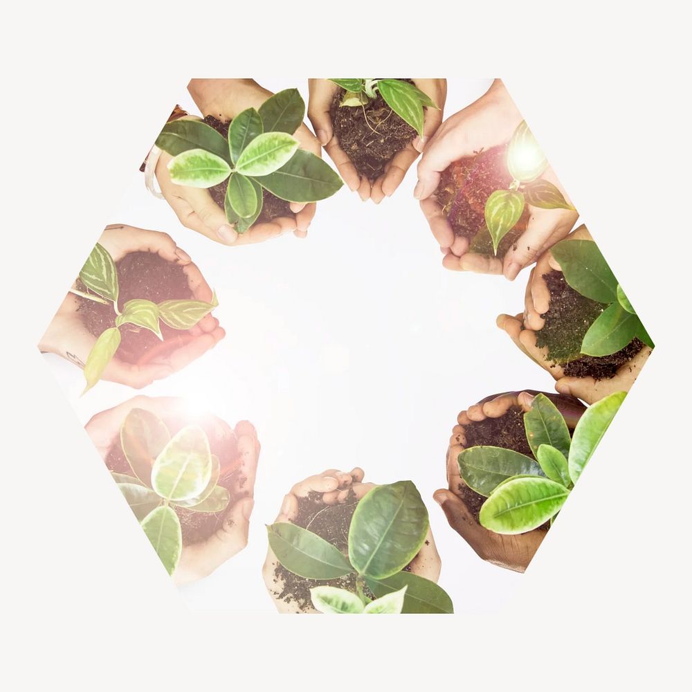 Environmental community hexagonal shaped badge