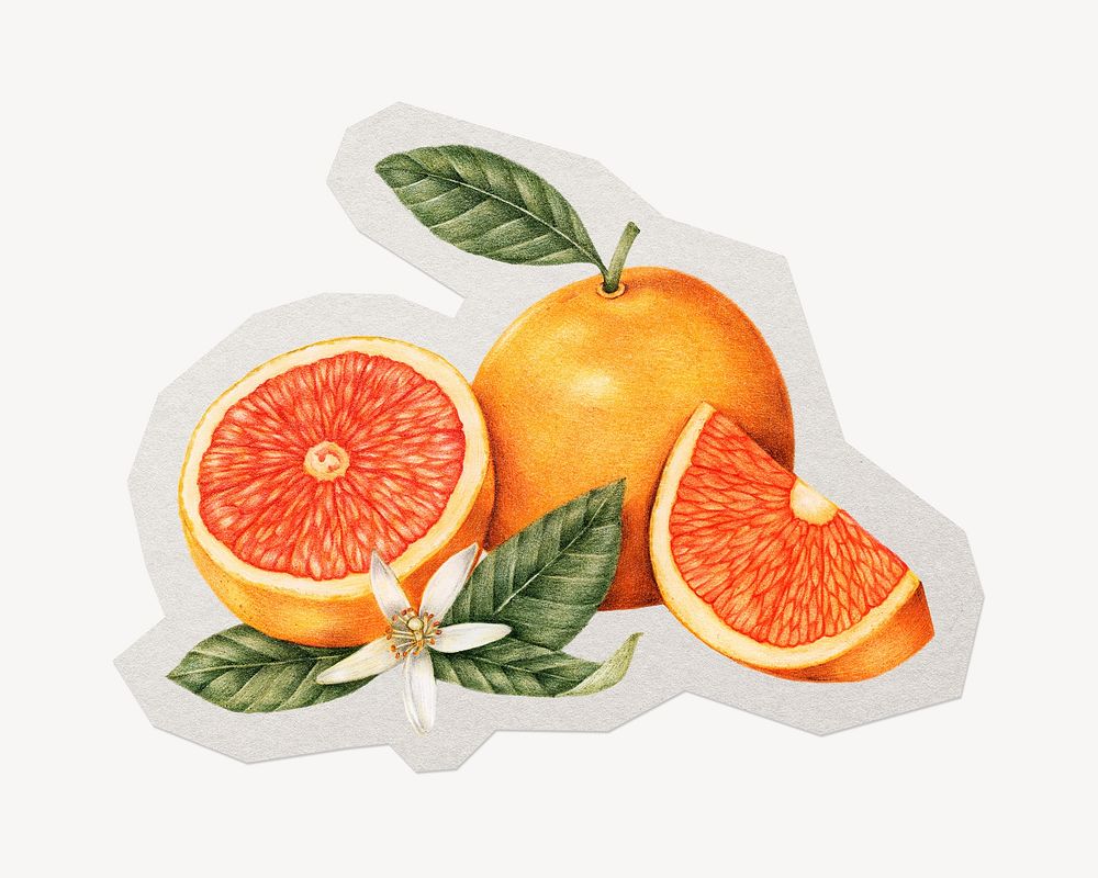 Oranges paper element with white border
