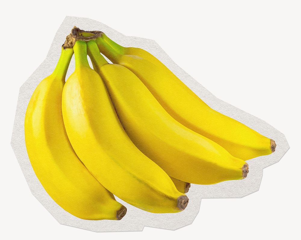 Bananas fruit paper element with white border