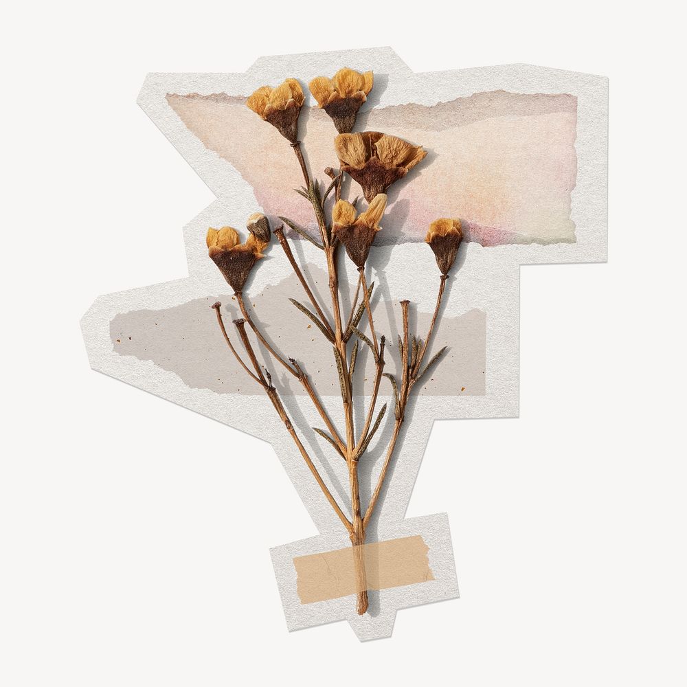Dried flower paper element with white border