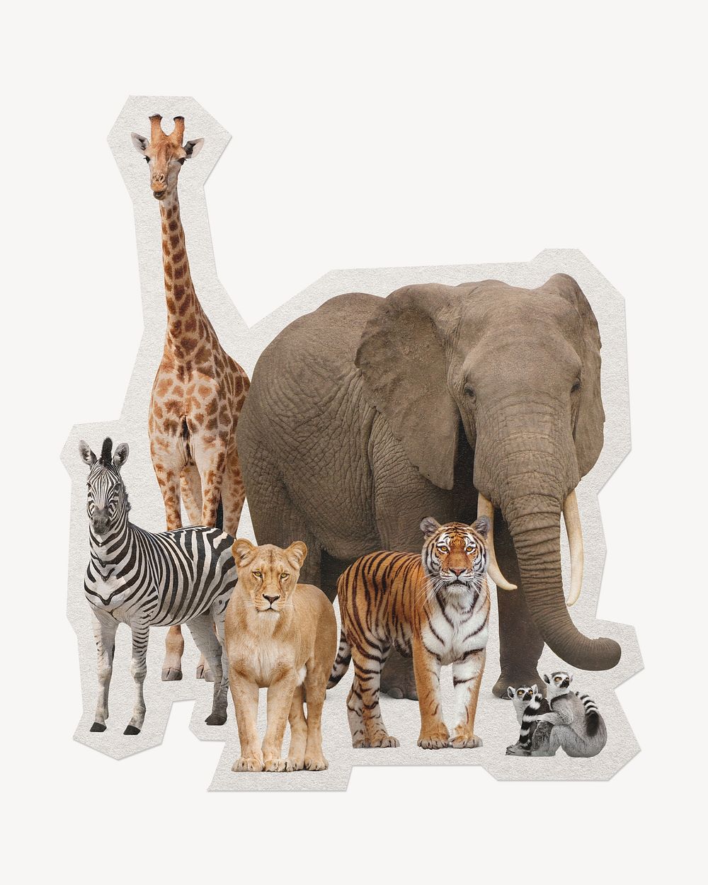 Safari animals, Africa wildlife zoo paper element white border