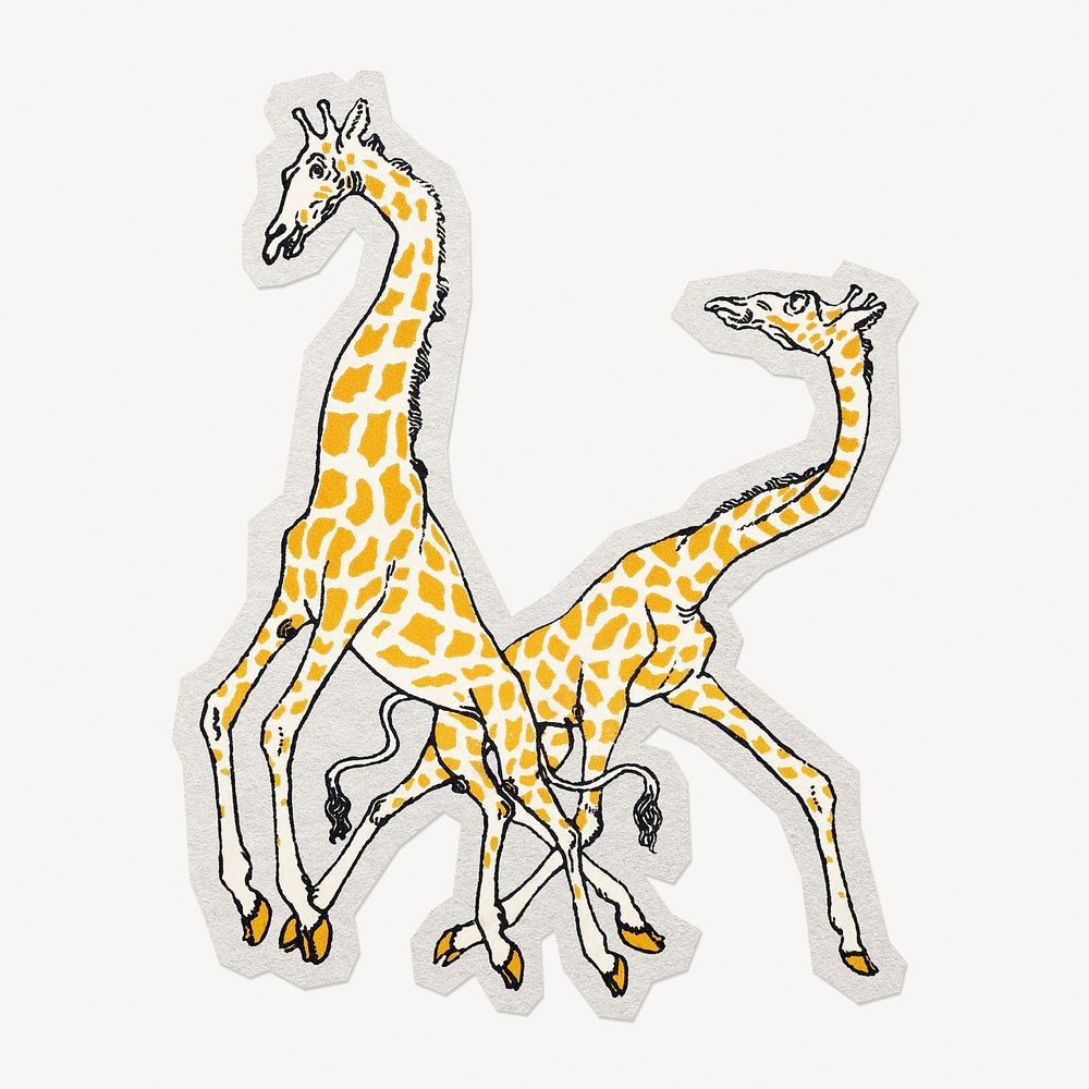 Giraffes vintage illustration  paper element with white border 