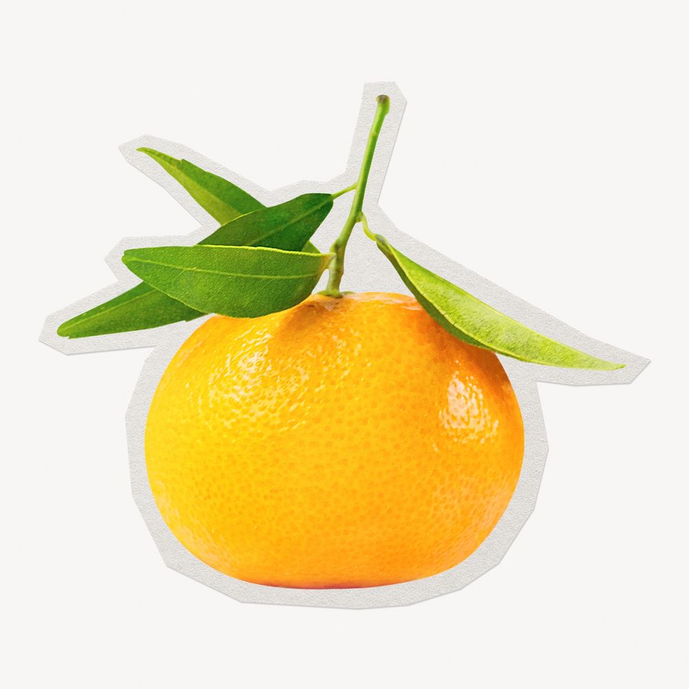 Orange fruit  paper element with white border