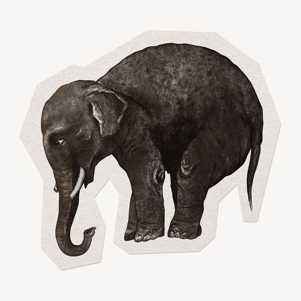 Aesthetic elephant paper element with white border 