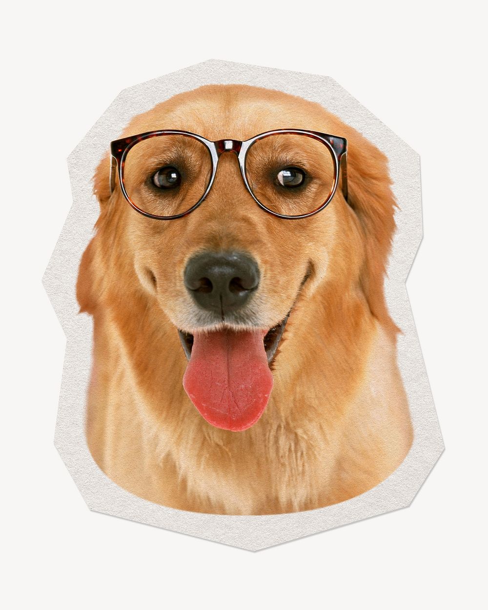 Golden retriever dog  paper element with white border