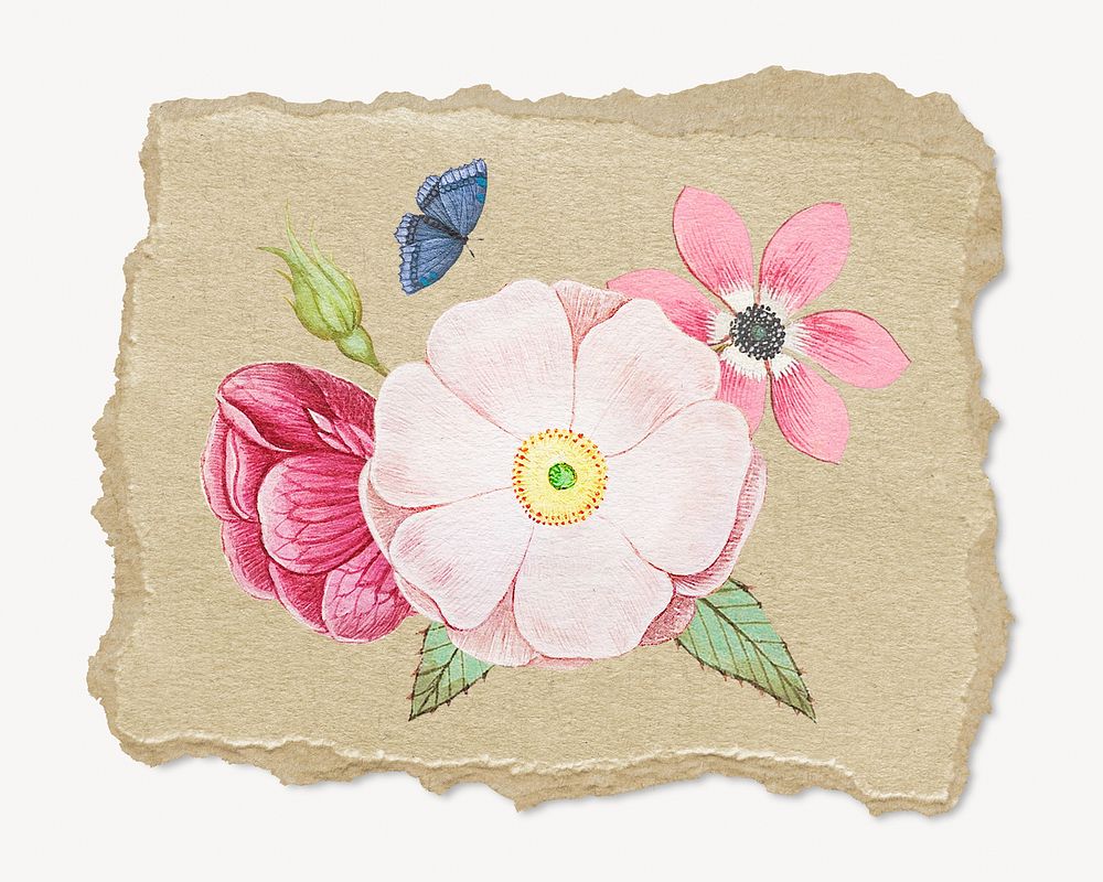 Vintage wild  flower illustration, ripped paper. Remixed by rawpixel.
