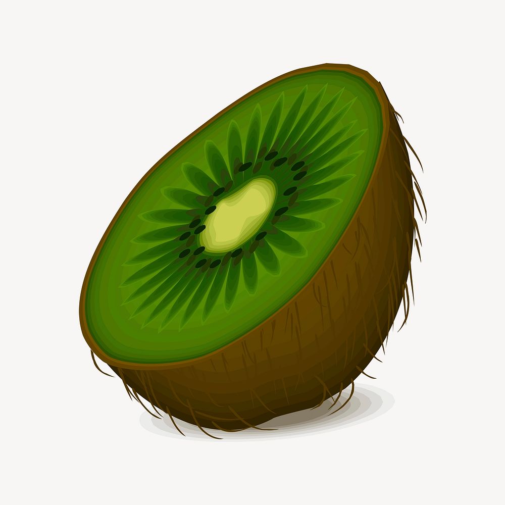 Half kiwi illustration. Free public domain CC0 image.