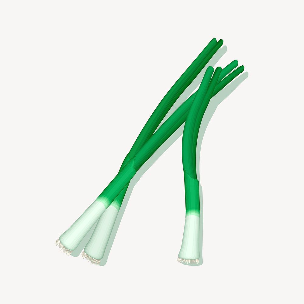 Spring onion clipart illustration vector. Free Vector Illustration